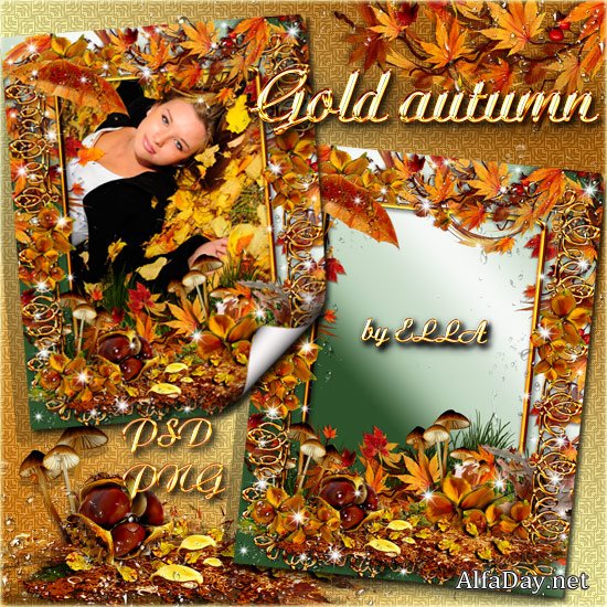 ������� �����-���������� ���� ���� ����� �� ������� �������