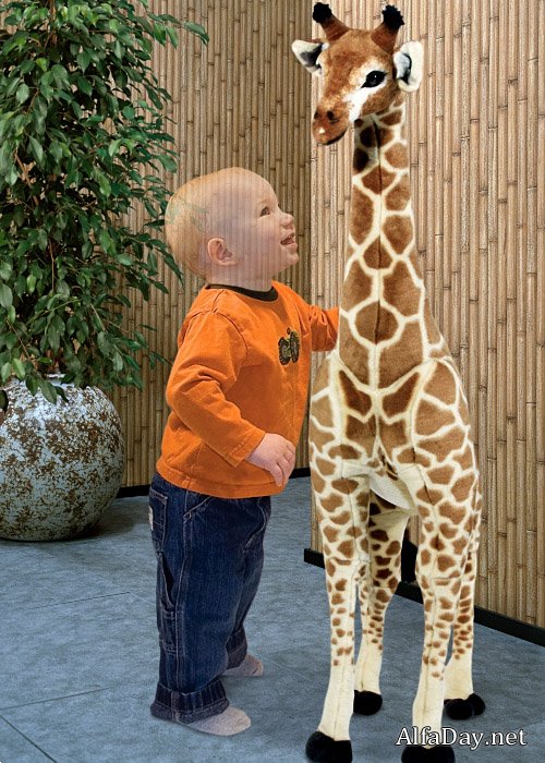 ������� ������ ��� �������� - ������� � �����