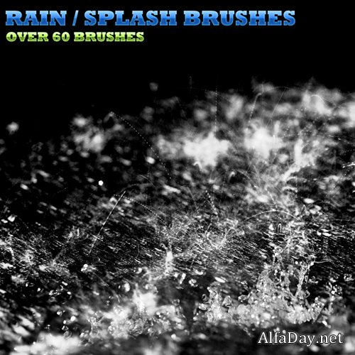 ����� ��� ������� �����, ��������, ������