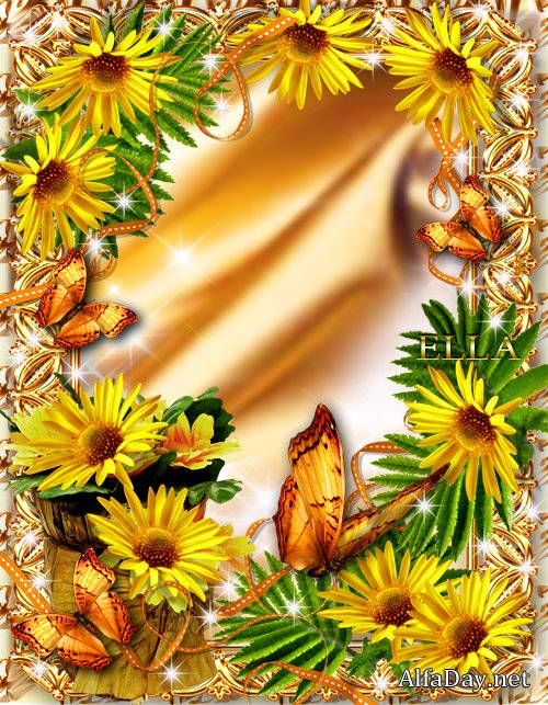 ��������� ����� ��� ����� ���������� ������ �����