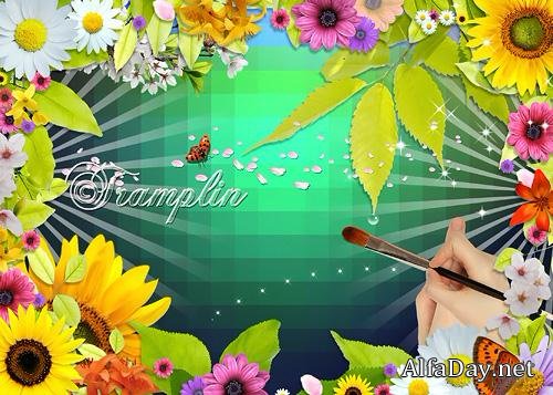 ��������� Psd ��������