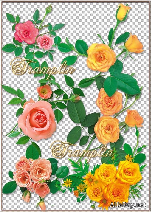 ������� �  Png ����  � � ������ � ������