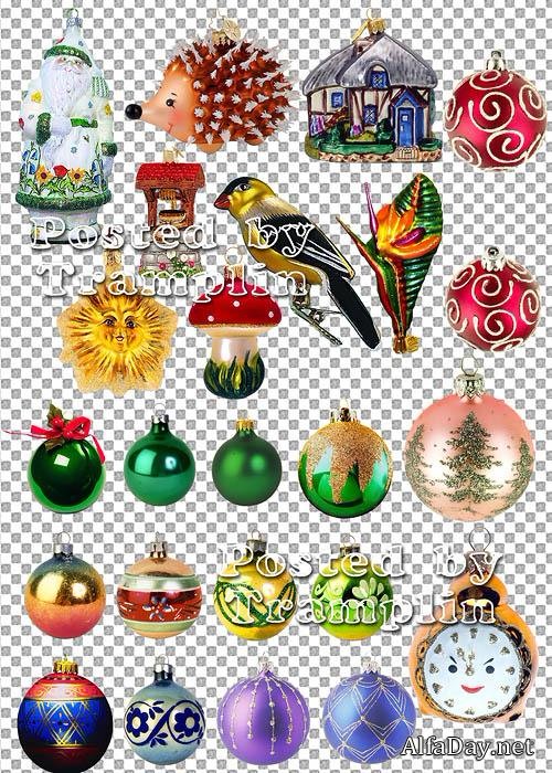 ������� �� ���� - ���� ���������� - �������� ������������