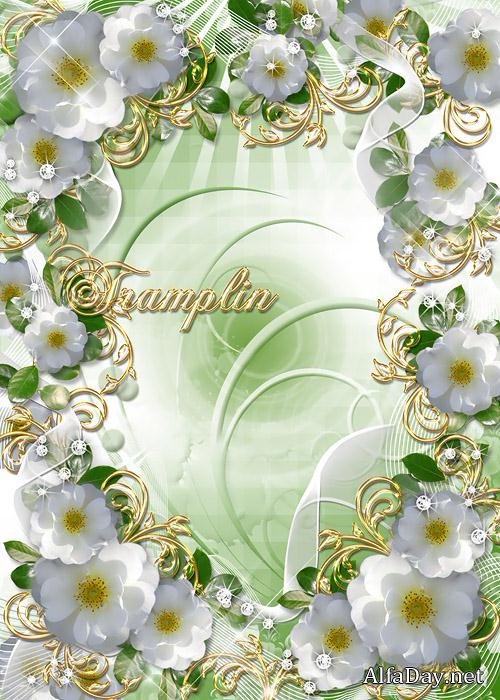 ����� ��� ���� � ������ ������� � � ���� ������ �����