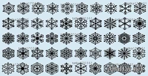 ���������� ����� - ��������