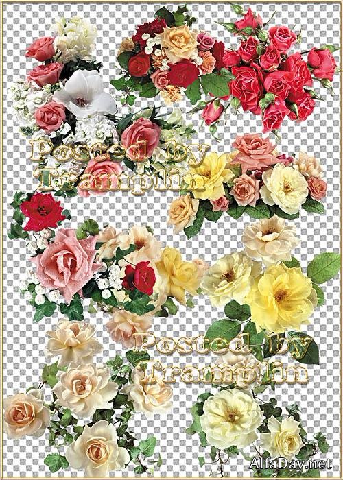 ���� � � ������ ���� ��� �����  ����� ������� � ������ � �����