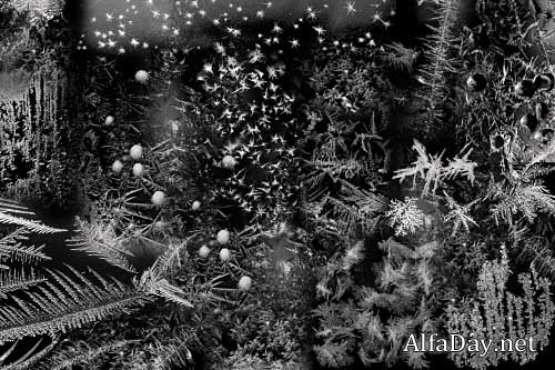 ����� ��� �������� - �������� �����