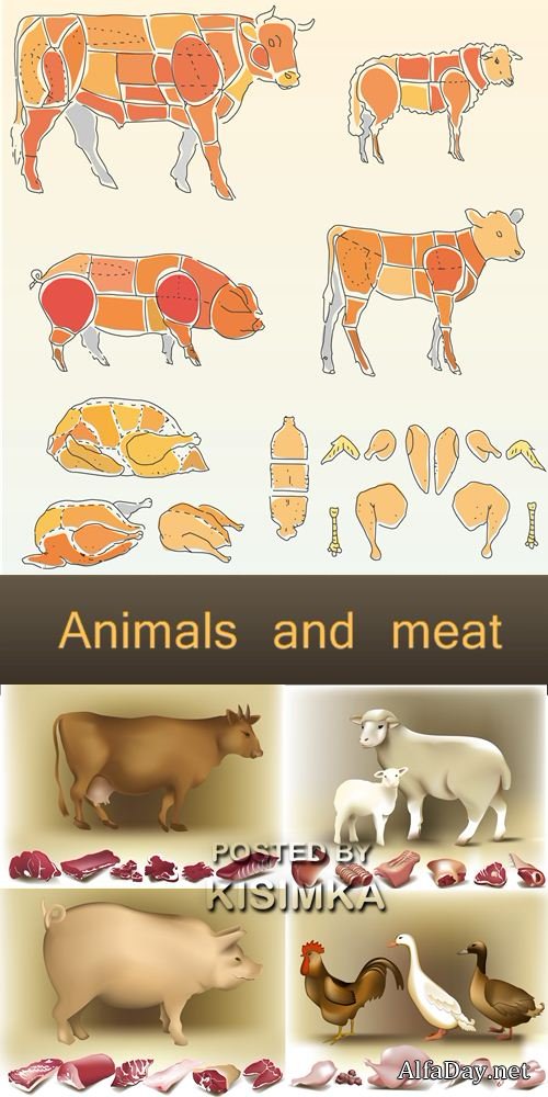 Stock: Animals and meat