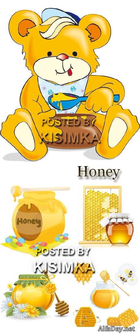 Stock: Bear and honey 3