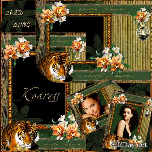 ����� ��� ���� - ������� �������, �����