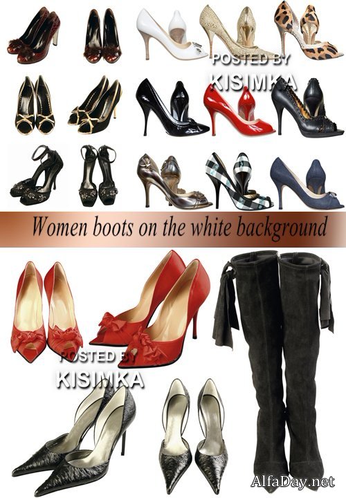 ���� ������� �� ����� ���� ������� �����, ������, �������