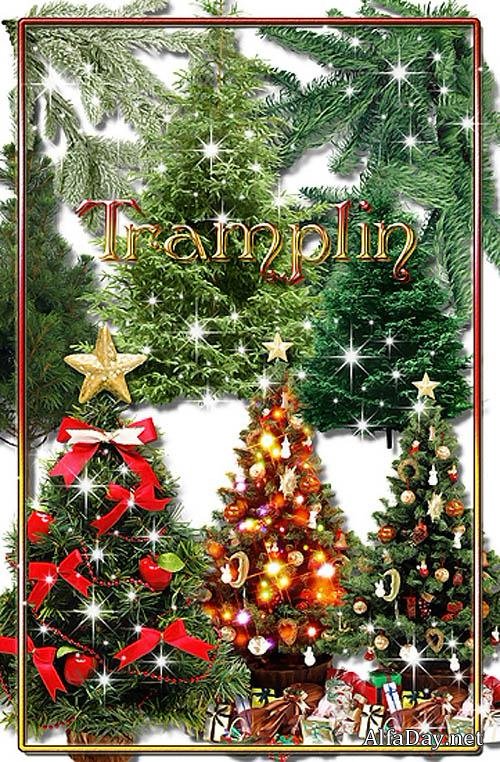 ���������� ������� � ���� � ����������� � ������� �����