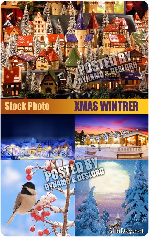 ���������� ���� - ��������� �������