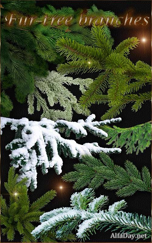 ������� ����� ��� � �����