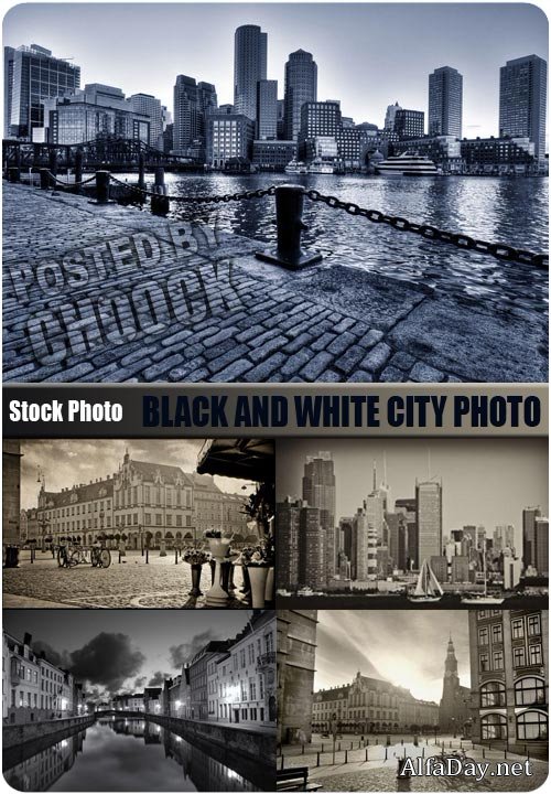 �����-����� ���� ������ - ��������� �������