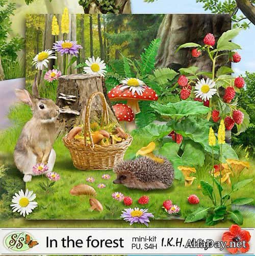 �������������� ������ �����-����� - � ���� Scrap - In the forest