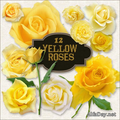 ������� ����� PNG Ƹ���� ���� �� ���������� ����