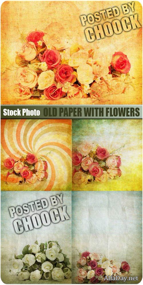 ������ ������ � ������� - ��������� �������