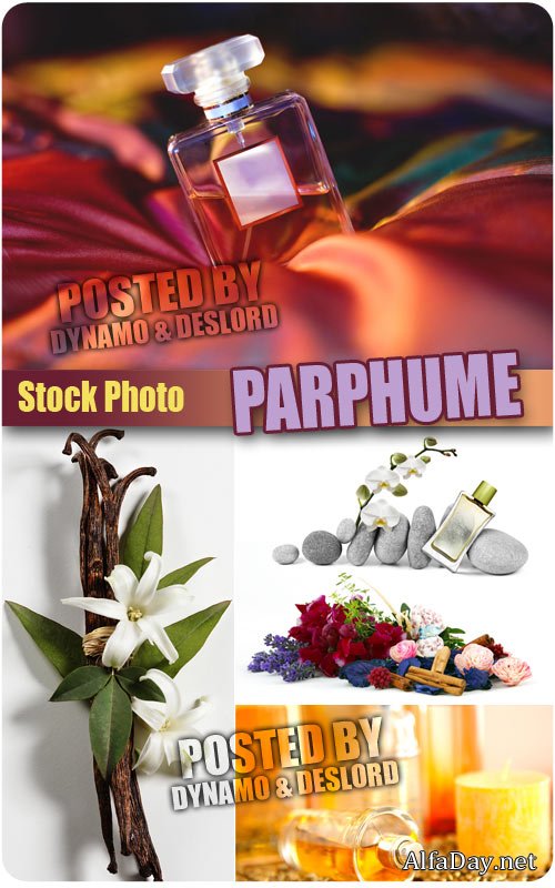 ���������� - ��������� �������