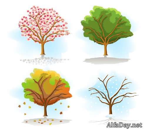 ������ ������� ���� (������)