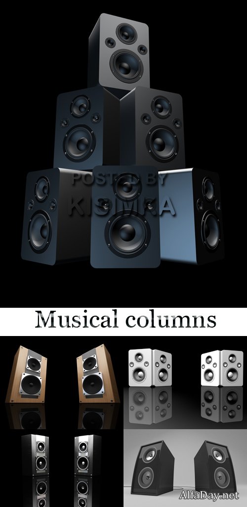 ���� ������� ����������� ������� �� ������ ���� 