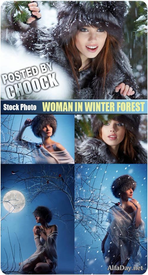 ���� ������ ���, ������� � ������� ����� - ������������� ��������� �������