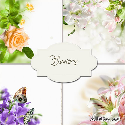 �������� ���� ��� ������� - ����� �� �����