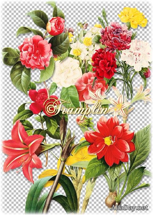 ��������� ������� PNG � �����, �������, ����� ��������, ����, �����