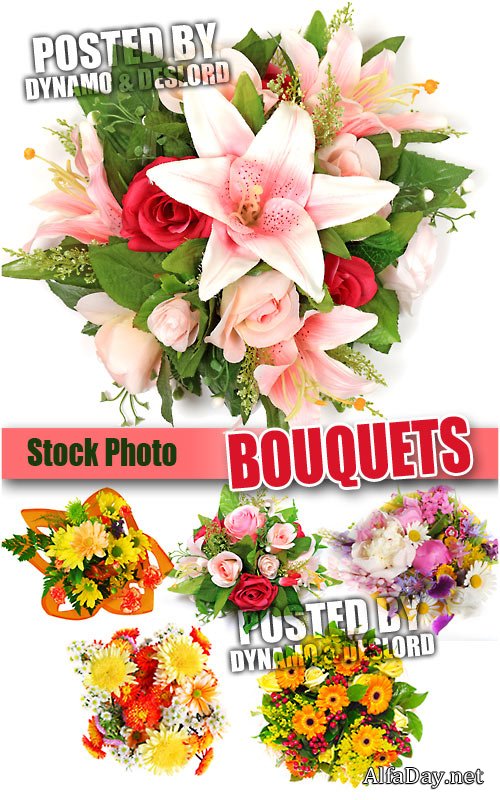 ��������� ����������� ������ - ��������� �������