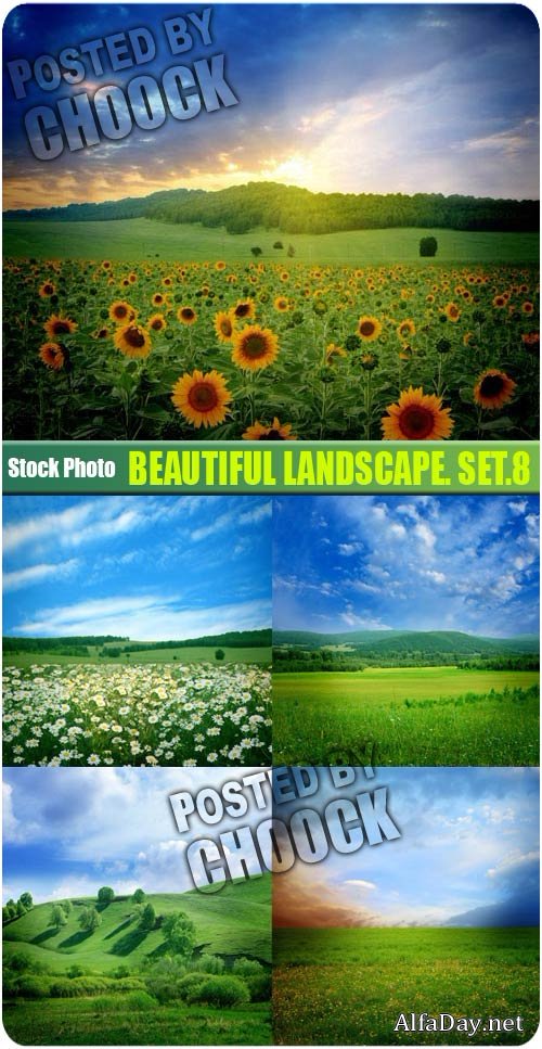 ���� �������� ������� - ��������� �������