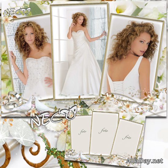 ������ ��������� ����� � �������� ��� ���� ����