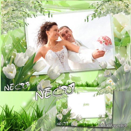 ������������� ��������� � ������ ���������� - ������� ����� � �������� ������