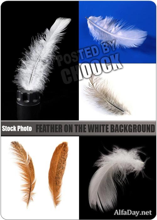 ����� �� �����, ����� � ������ ���� - ��������� �������