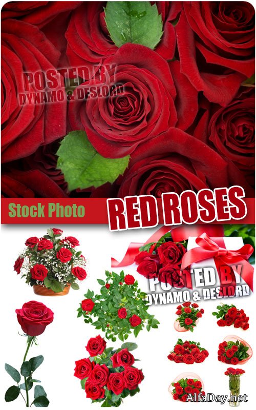 ���� �������� ������� ����, ������ - ��������� �������