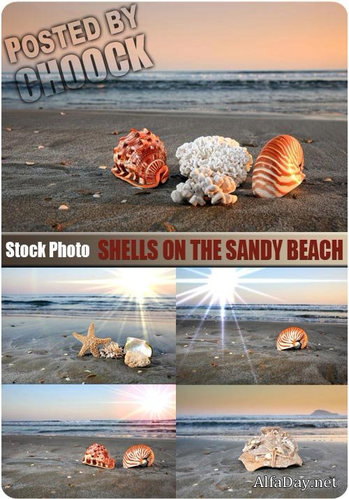 ���� ������� �������� �� �������� ����� - ��������� �������