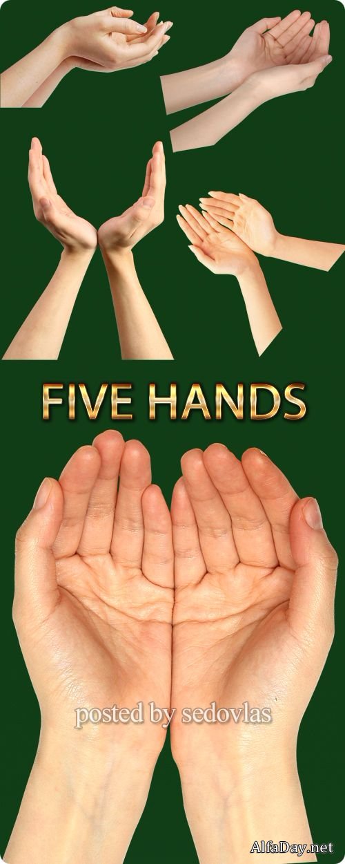 PSD ������� ����, ������