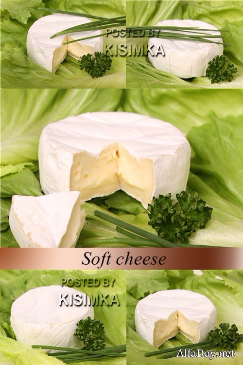���� ������� ������ ��������� ��� � ������� Soft cheese