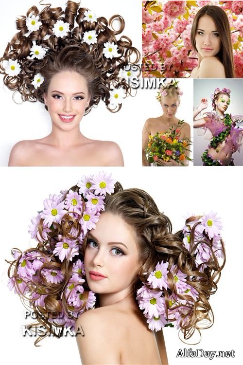 ���� ������� �������, �����, �������� ����� � ������� �������