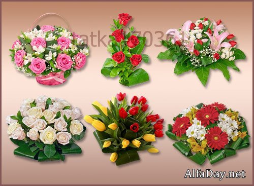 ������� ��� ������ ����� � PNG - ����������� ������ � ����������