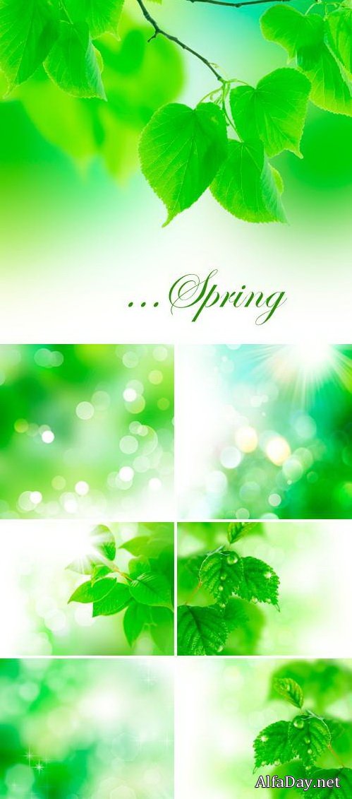 �������� ���� ��� Photoshop - ������ ������ 