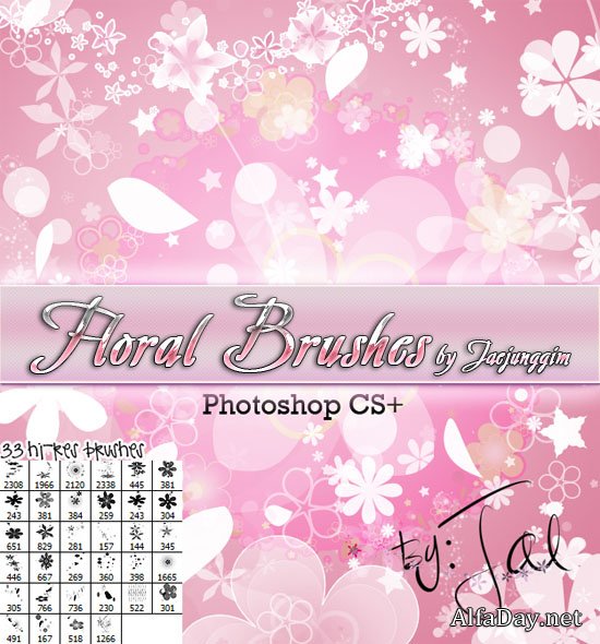 ����� ��� ������� - ������������ �����, ��������� �������, ����������