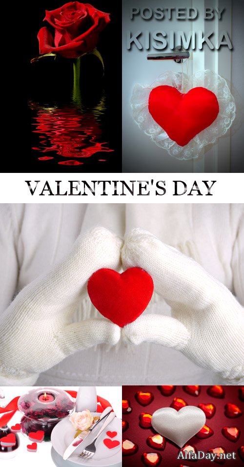 ���� ������� - ���� ���������