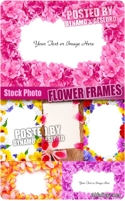 ����� �� ������ - ��������� �������