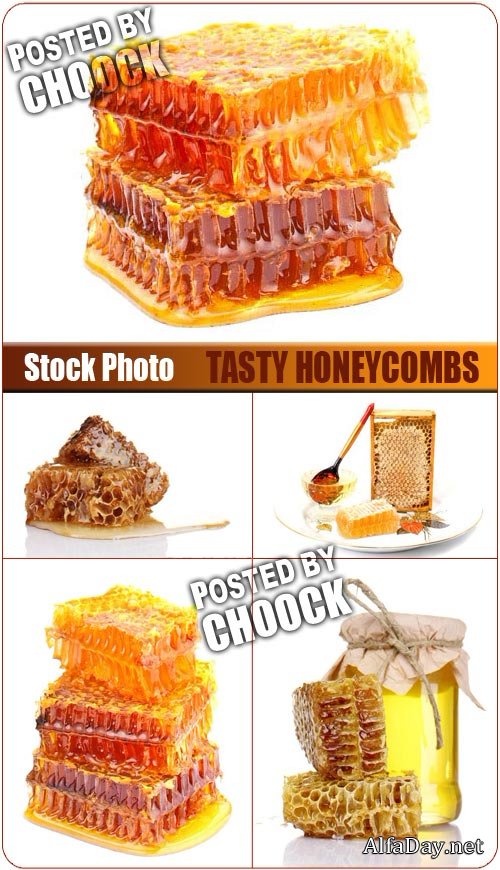 ���� ̸�, ���� - ��������� �������