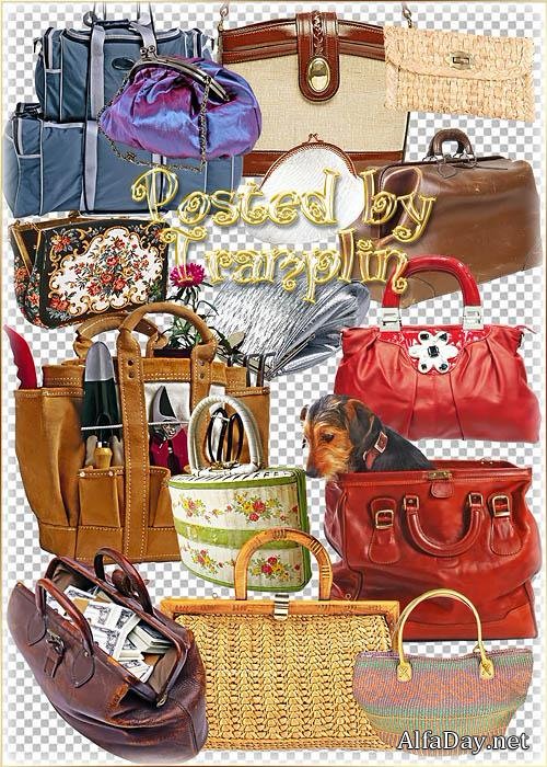 PNG ������� �� ���������� ���� � �����, ��������, ������� �������, ��������, �������