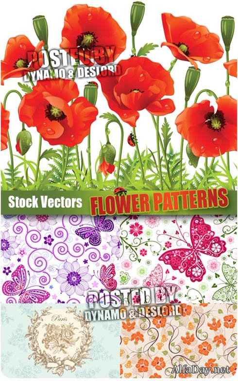 ��������� ��������, �����, ��������, ����� � ������� - ��������� �������