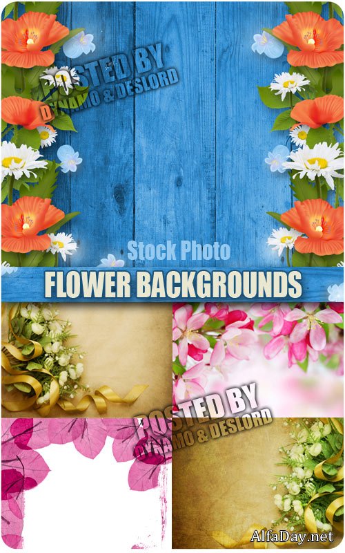 ��������� ���� - ��������� ������ � �����