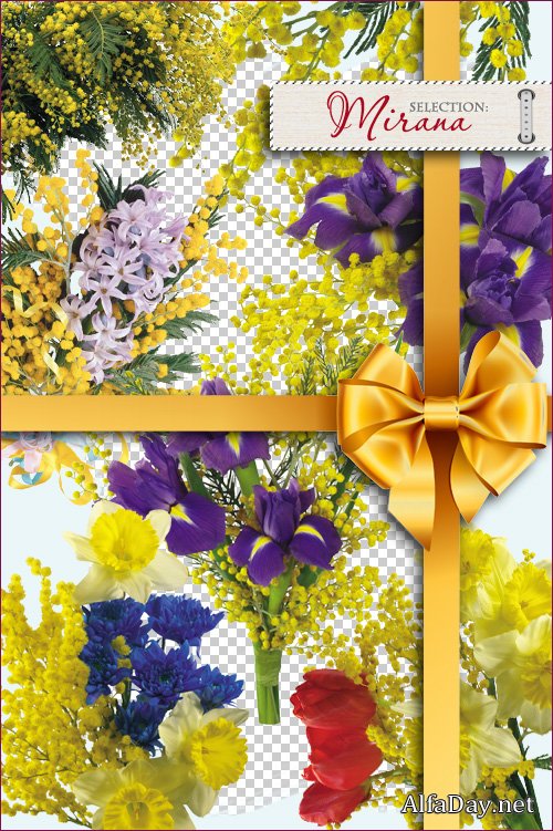 ����������� ������� � PNG � 8 ����� ������ - ����� �� ���������� ���� Mimosa