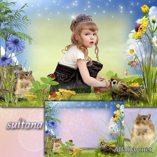 ����� ��� ���� � ������� ��������� - ����� �� �������