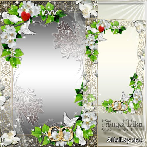 ��������� ����� ��� ���� � ������� �������� - ����� ����� � ������